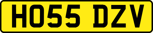 HO55DZV