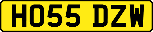 HO55DZW