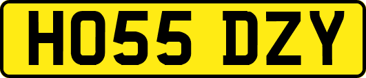 HO55DZY
