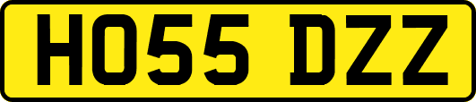 HO55DZZ