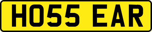 HO55EAR