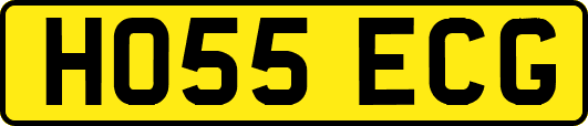 HO55ECG