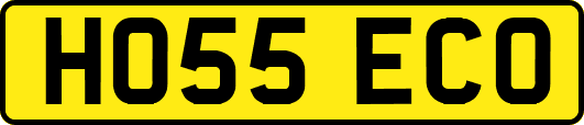 HO55ECO
