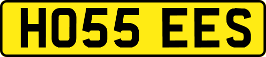 HO55EES