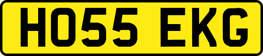 HO55EKG