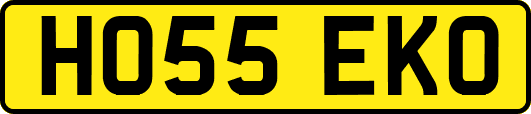 HO55EKO