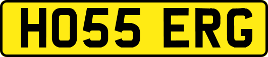 HO55ERG