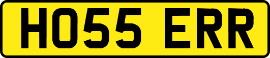 HO55ERR