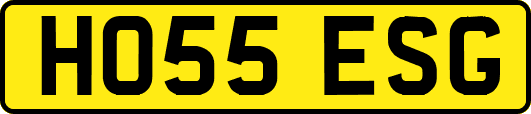 HO55ESG