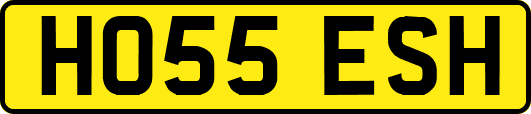 HO55ESH