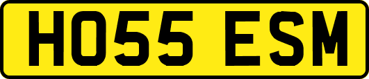 HO55ESM