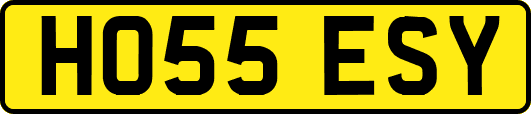 HO55ESY