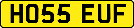 HO55EUF