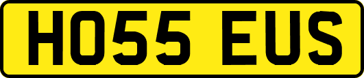 HO55EUS