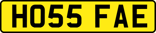 HO55FAE