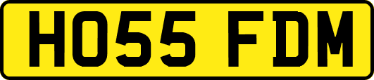 HO55FDM
