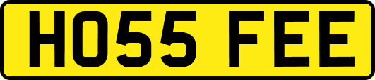 HO55FEE