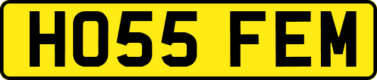 HO55FEM