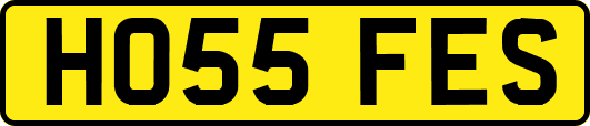 HO55FES