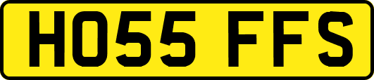 HO55FFS