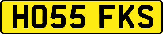 HO55FKS