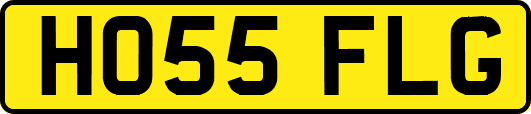 HO55FLG