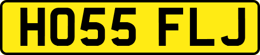 HO55FLJ