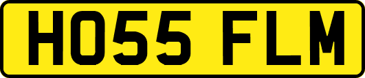 HO55FLM