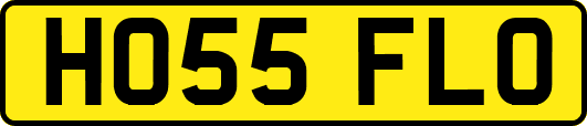 HO55FLO