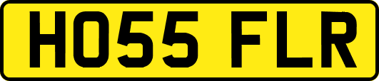 HO55FLR