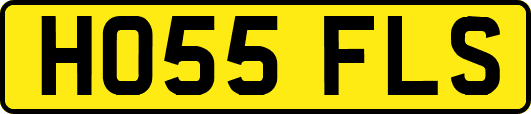 HO55FLS