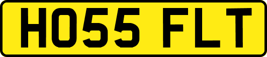 HO55FLT