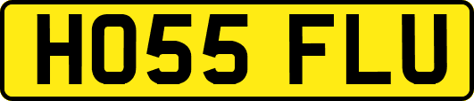 HO55FLU