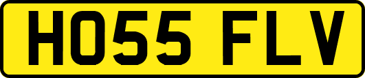HO55FLV