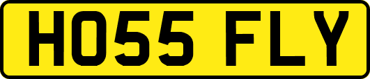 HO55FLY