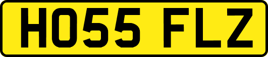 HO55FLZ