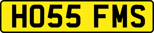 HO55FMS