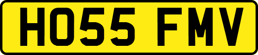 HO55FMV