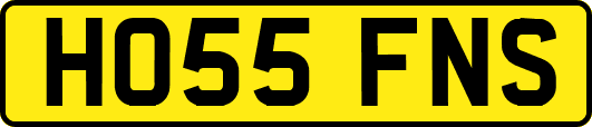 HO55FNS