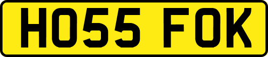 HO55FOK