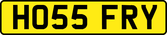 HO55FRY