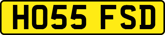 HO55FSD