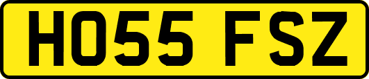 HO55FSZ