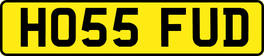 HO55FUD