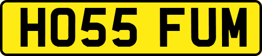 HO55FUM