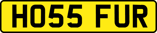 HO55FUR