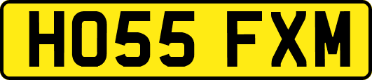 HO55FXM