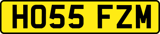 HO55FZM