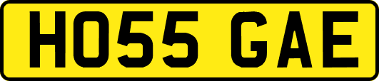 HO55GAE