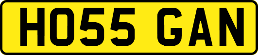 HO55GAN